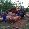 Peti siupan hongkong - Gambar 7